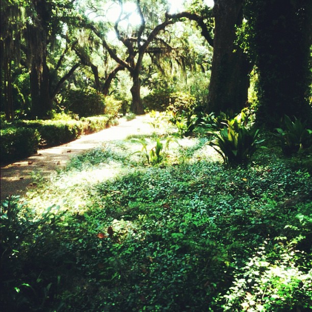 Lush greenery surrounds the Myrtles Plantation.